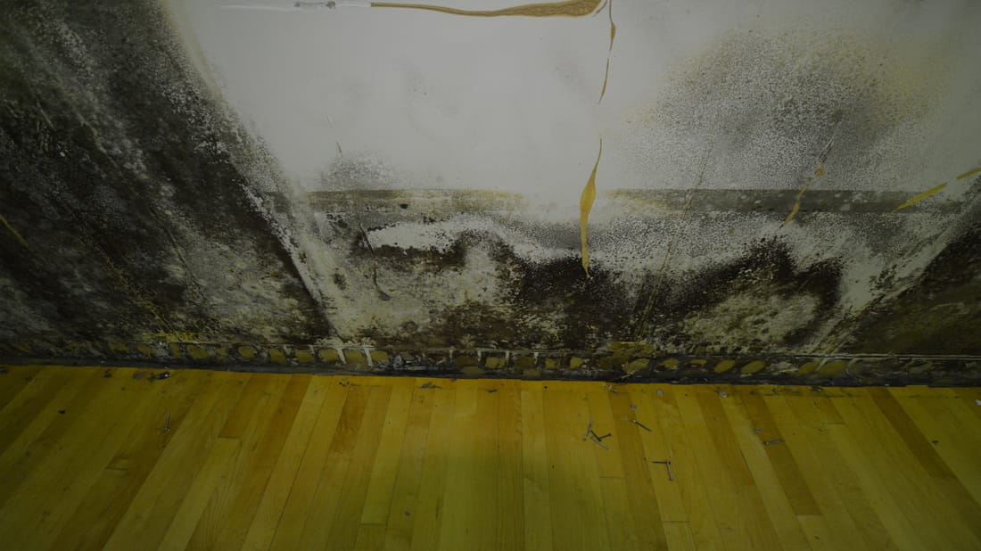 gta-restoration-condominium-mold-removal-tennis-court_1_orig